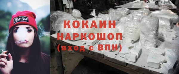 амф Гусев