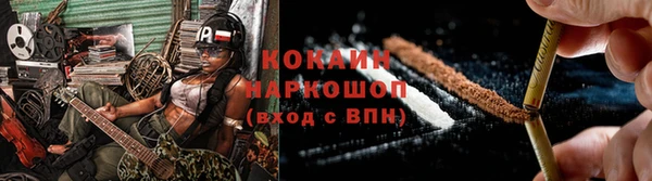 амф Гусев