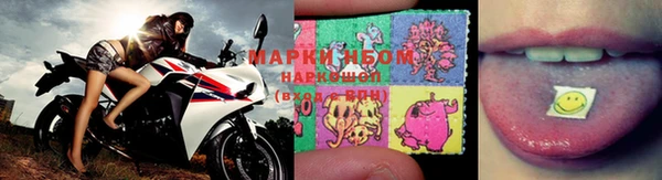 амф Гусев