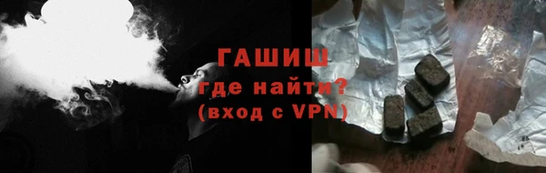 амф Гусев
