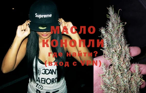 амф Гусев