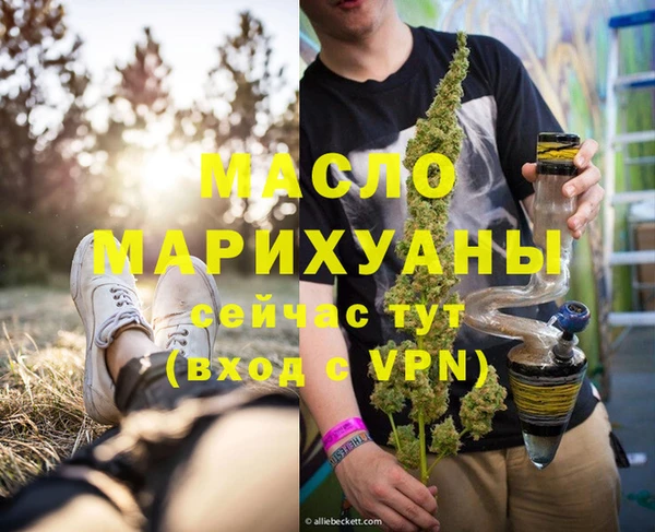 амф Гусев