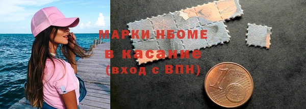 амф Гусев