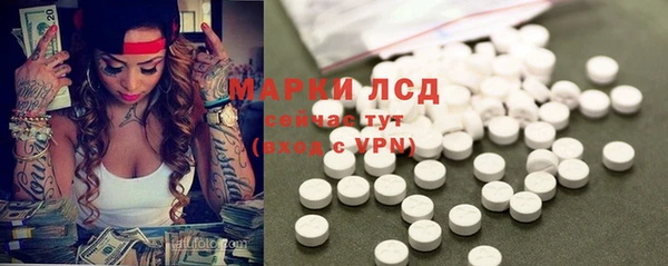 амф Гусев