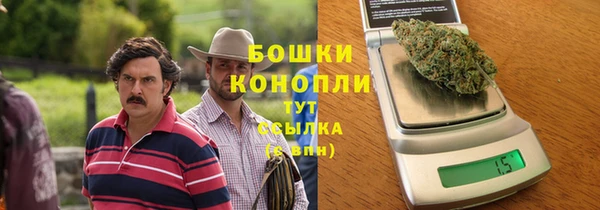 амф Гусев
