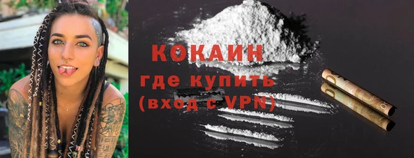 амф Гусев