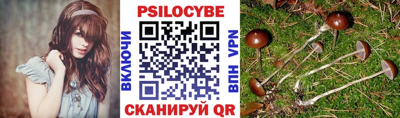 хочу   Чудово  Галлюциногенные грибы Magic Shrooms 